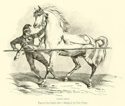 Roman Horse by English School