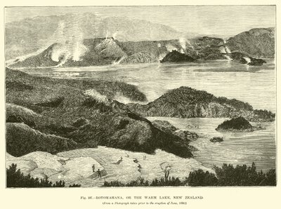 Rotomahana, or the Warm Lake, New Zealand by English School
