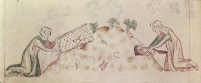Women catching a rabbit with a net and a ferret, from the 