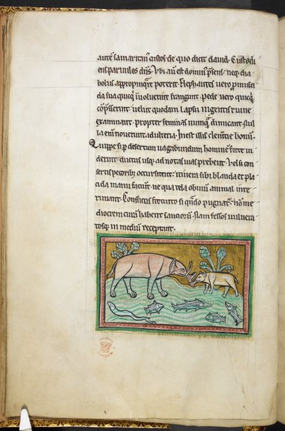 One big and one small elephant in a stream full of fish, from Bestiary, Lapidary by English School