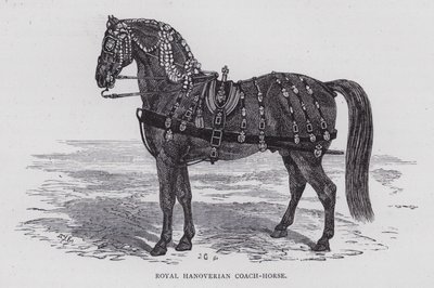 Royal Hanoverian Coach-Horse by English School