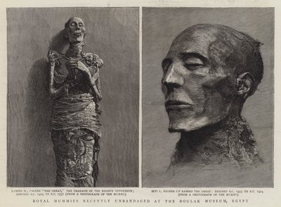 Royal Mummies recently Unbandaged at the Boulak Museum, Egypt by English School