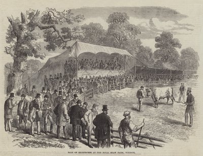 Sale of Shorthorns at the Royal Shaw Farm, Windsor by English School
