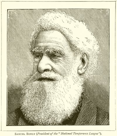 Samuel Bowly (President of the National Temperance League) by English School