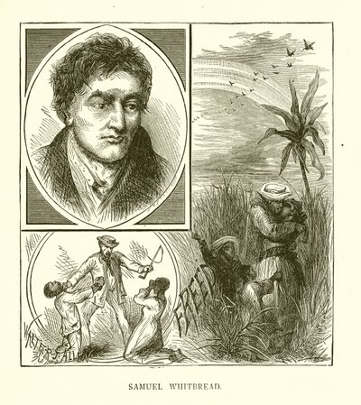 Samuel Whitbread by English School