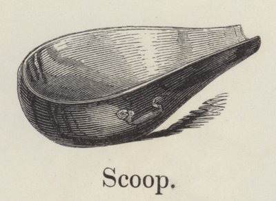Scoop by English School