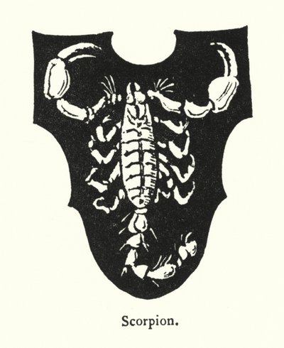 Scorpion by English School