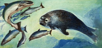 Seal and fish by English School