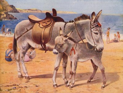 Seaside Donkeys by English School