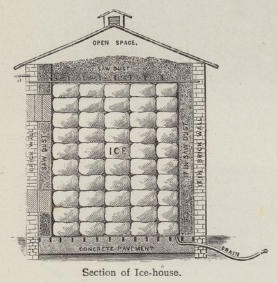 Section of Ice-house by English School