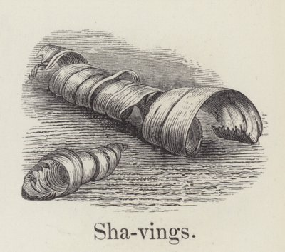 Shavings by English School