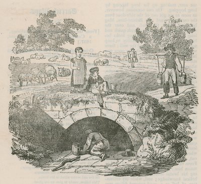 Shepherd