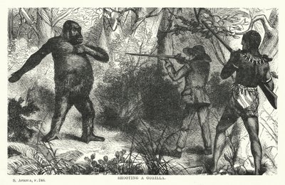 Shooting a gorilla by English School