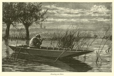 Shooting an Otter by English School