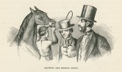 Showing the Horse
