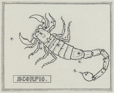 Signs of the zodiac: Scorpio by English School