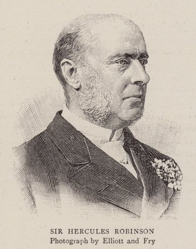Sir Hercules Robinson by English School