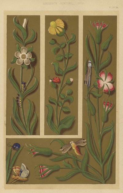 Sixteenth Century by English School