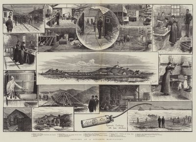 Sketches at a Dynamite Manufactory by English School