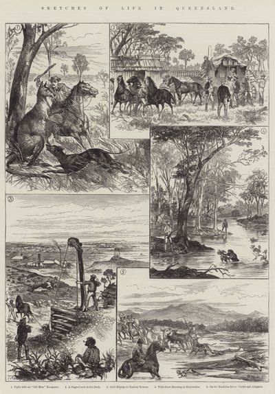 Sketches of Life in Queensland by English School