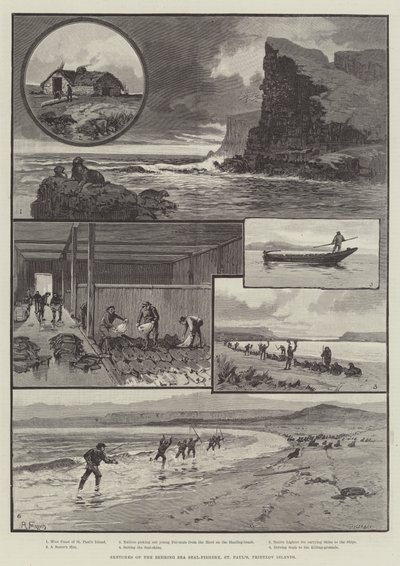 Sketches of the Behring Sea Seal-Fishery, St Paul