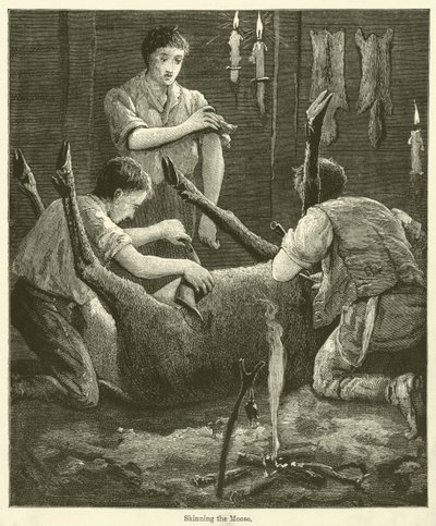 Skinning the Moose (engraving) by English School
