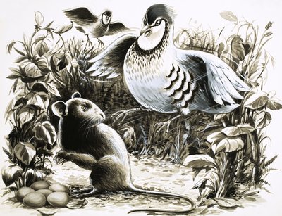 Slumm the rat believes he is in luck when he finds some Partridge eggs by English School
