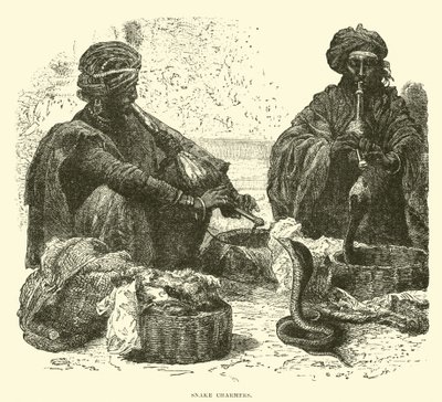 Snake Charmers by English School