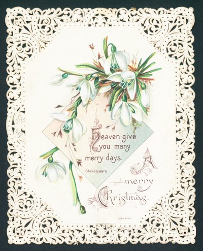 Snowdrops by English School