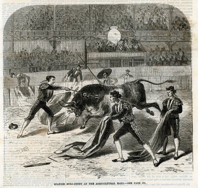 Spanish Bull Fight at the Agricultural Hall, Islington by English School