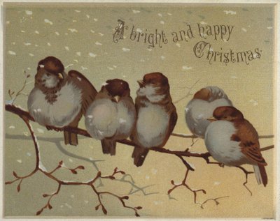 Sparrows Sitting on a Branch in the Snow by English School