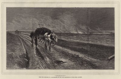 Spindrift (engraving) by English School