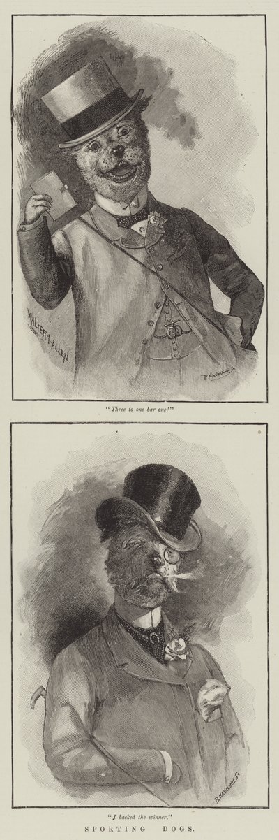 Sporting Dogs by English School