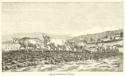 Spring, Ploughing in France by English School