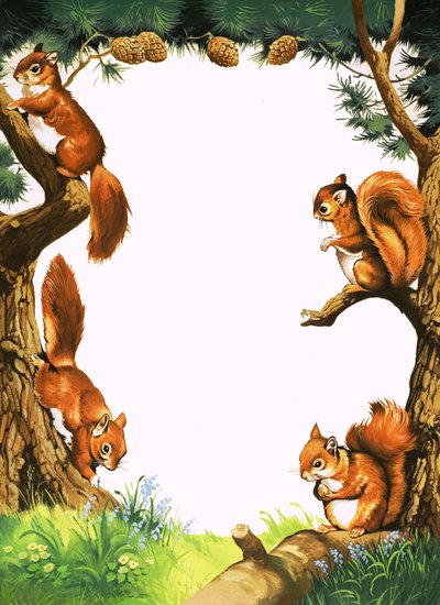 Squirrels by English School