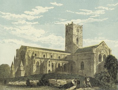 St David