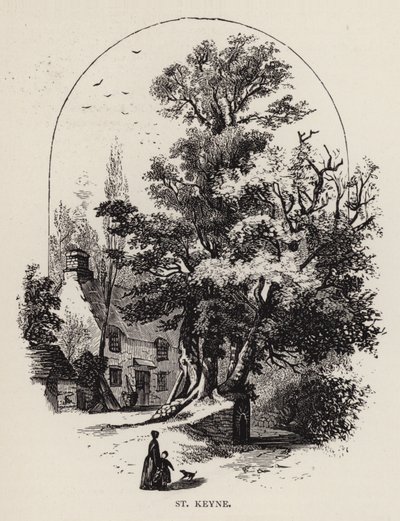St Keyne (engraving) by English School