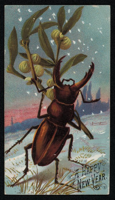 Stag Beetle Carrying Mistletoe in a Wintry Scene, Christmas Greetings Card by English School