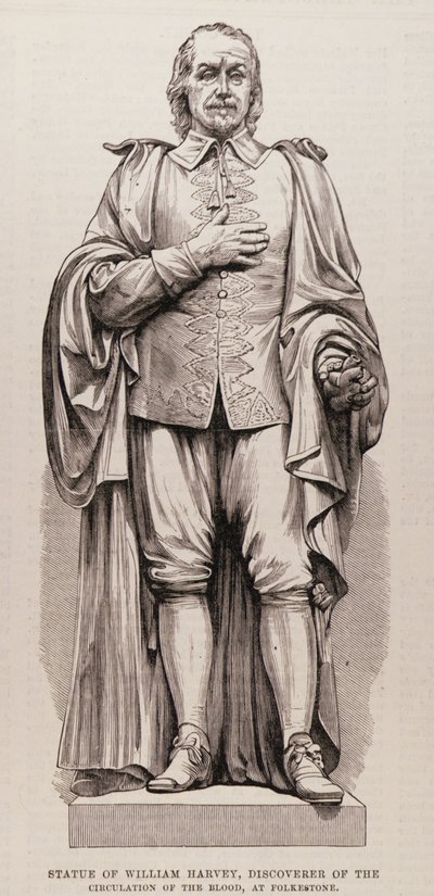 Statue of William Harvey (1578-1657), Discoverer of the Circulation of the Blood, at Folkestone, from The Illustrated London News, 13th August 1881 by English School