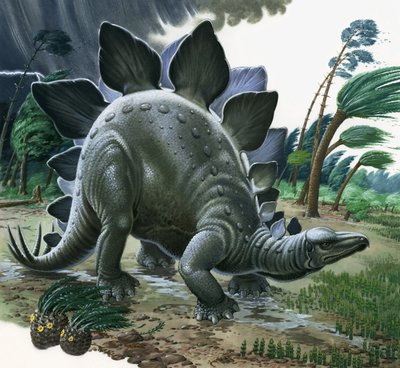 Stegosaurus by English School