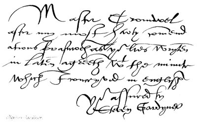 Stephen Gardiner by English School