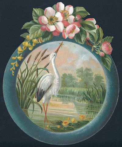 Stork Standing in Water by English School