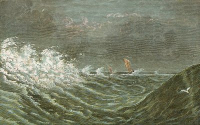 Storm at Sea by English School