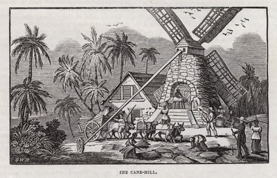 Sugar production by English School
