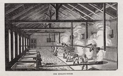 Sugar production by English School
