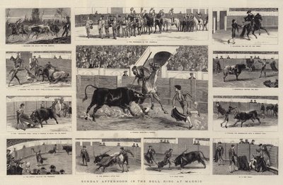 Sunday Afternoon in the Bull Ring at Madrid by English School