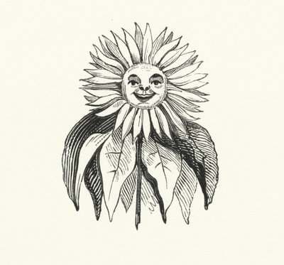 Sunflower by English School