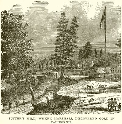 Sutter
