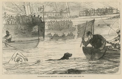 Swimming Match Between a Dog and a Man by English School