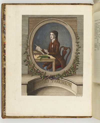 Sydney Parkinson, Illustration from 